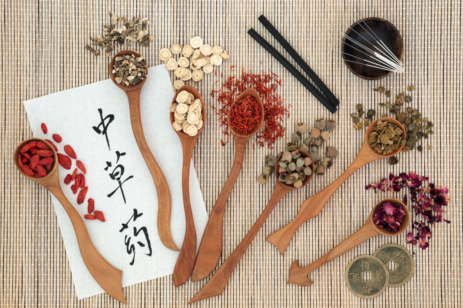 A Brief Introduction to Traditional Chinese Medicine (TCM)