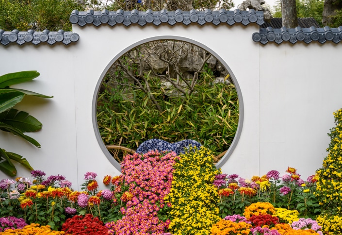 a circular door in a white wall with flowers growing out of it in a traditional Chinese garden in Suzhou, China