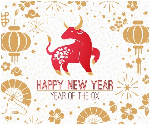 Your Guide to the Year of the Ox (2021) Your Guide to the Year of the Ox (2021)