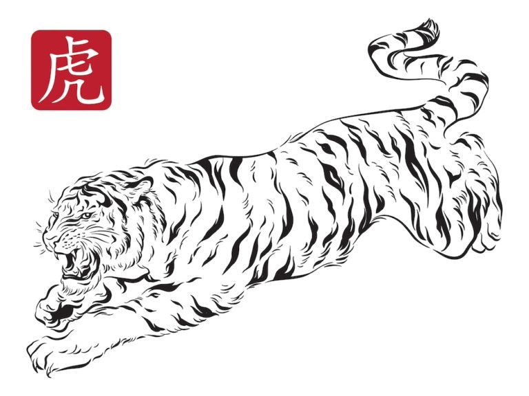 Domando el año del tigre