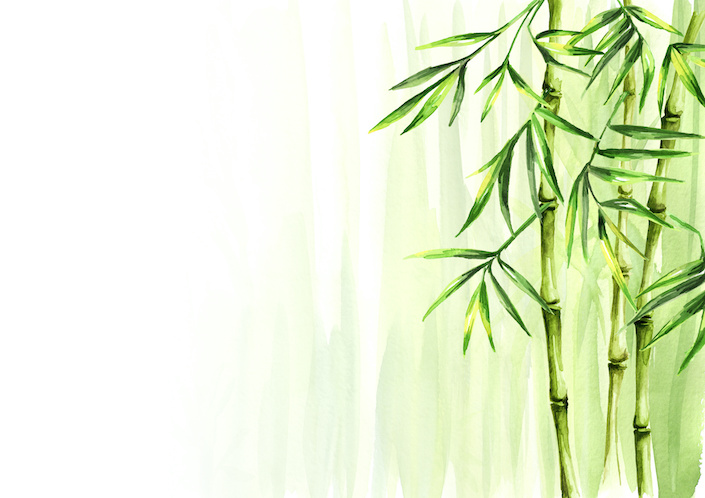 The Culture and History of Chinese Bamboo The Culture and History of Chinese Bamboo