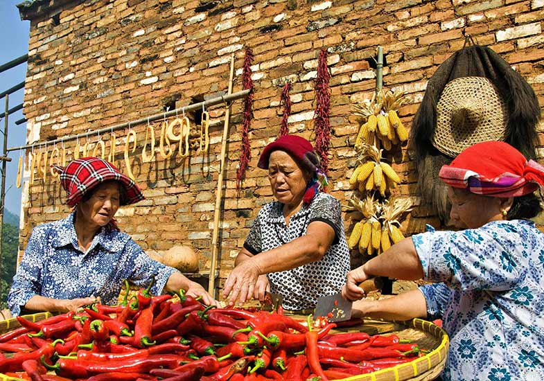 China Loves Chili Peppers