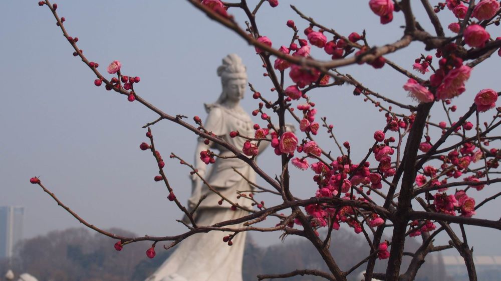 Nanjing China Xuanwu Lake