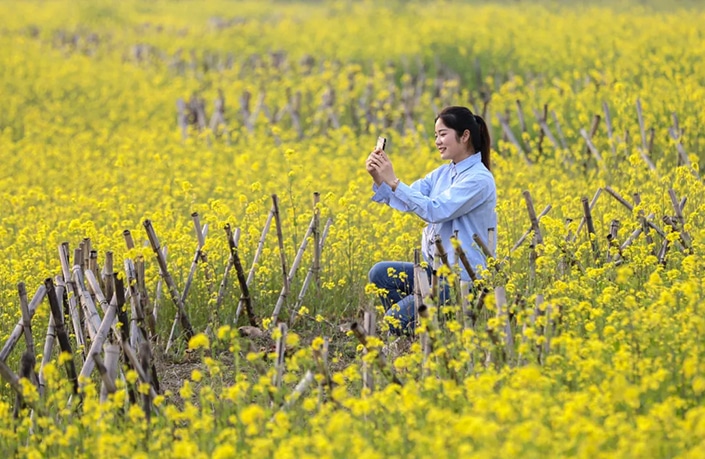 China’s Qingming Festival, Explained