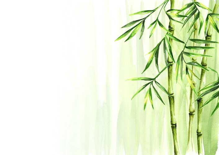 Le bambou : quelle utilisation en construction ? Avantages et inconvénients