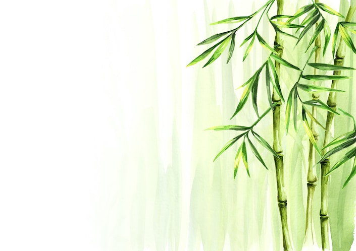 The Culture and History of Chinese Bamboo