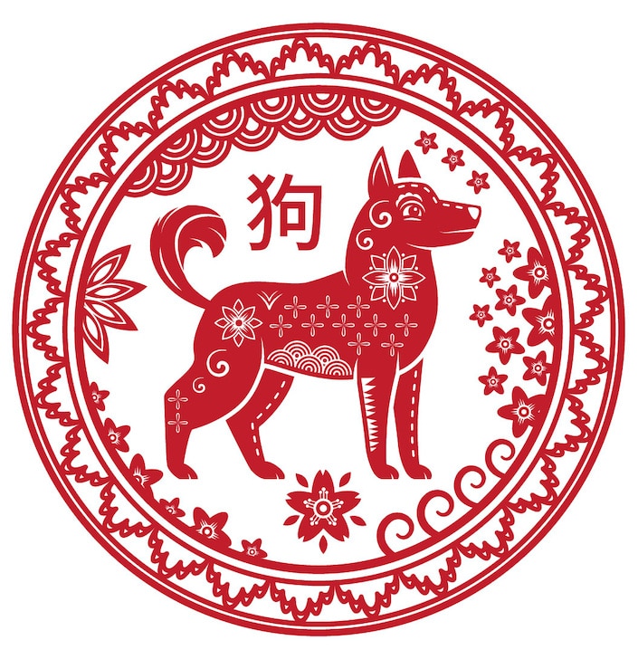 Chinese Year of the Dog | The Chinese Zodiac | Chinese Zodiac Animals