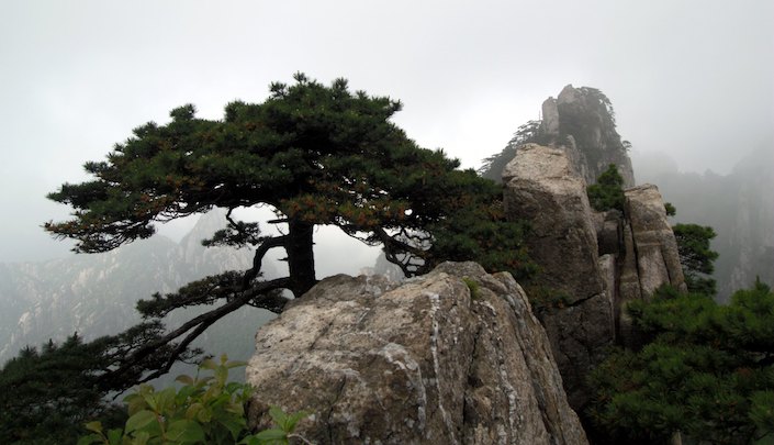 huangshan travel guide