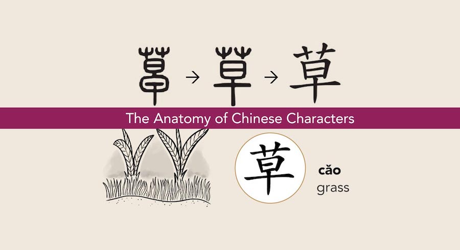 aprender caracteres chinos