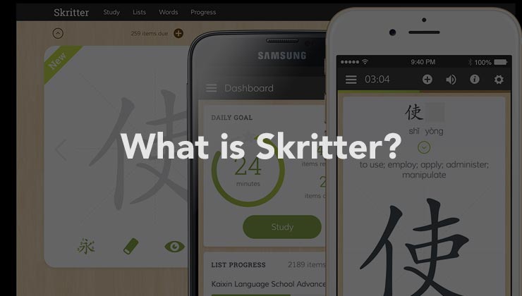 What is Skritter?