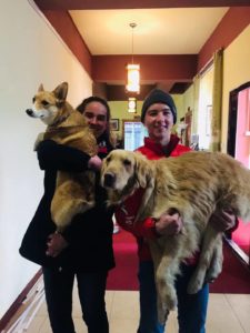 Two people each hold up a dog in a hallway with a red carpet