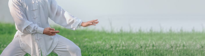 cropped photo showing the torso and upper part of a tai chi practitioner dressed in white doing a martial arts pose with a green field in the background