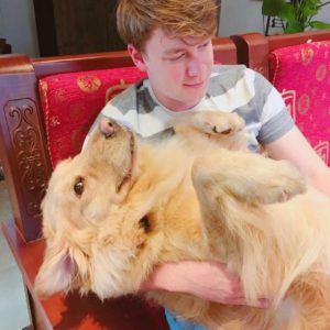 A man holds a golden retriever on his lap in a red armchair