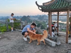 A man pets a golden dog at a hilltop pavilion above Guilin