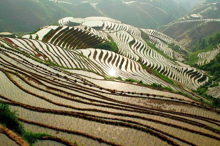 el sol se refleja en los campos de arroz inundados en Longsheng, China