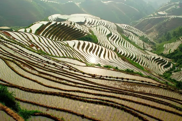 Terrazas de arroz llenas de agua reflejando el cielo.