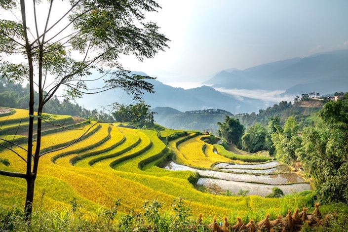 从中国传统的水稻梯田俯瞰桂林郊外的山谷