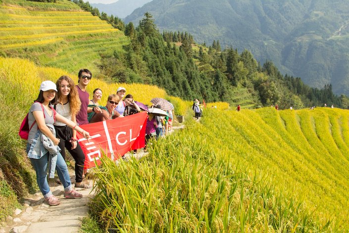 un groupe de jeunes adultes chinois et occidentaux tenant une bannière CLI rouge tout en se tenant sur un chemin au milieu d'un champ de riz jaune mûr