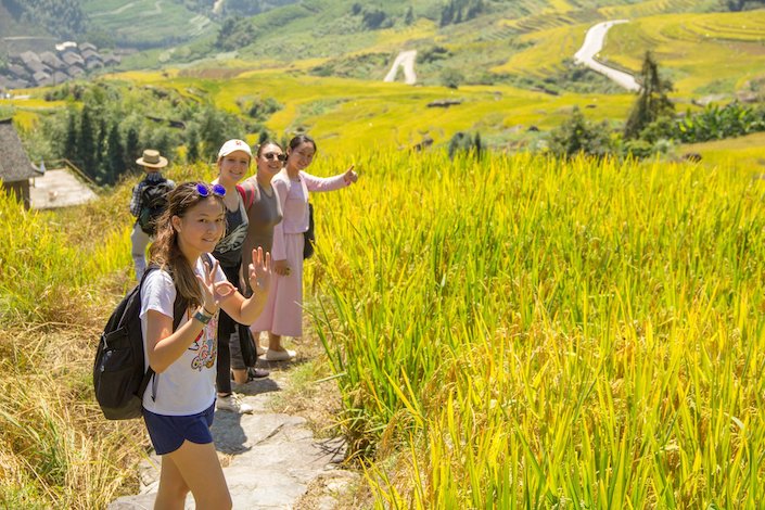 un grupo de mujeres chinas y occidentales posando en un camino en medio de un campo de arroz amarillo maduro