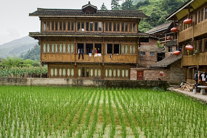 una casa tradicional de madera en Longsheng, China, con montañas al fondo y un arrozal con plantas jóvenes de arroz verde en primer plano
