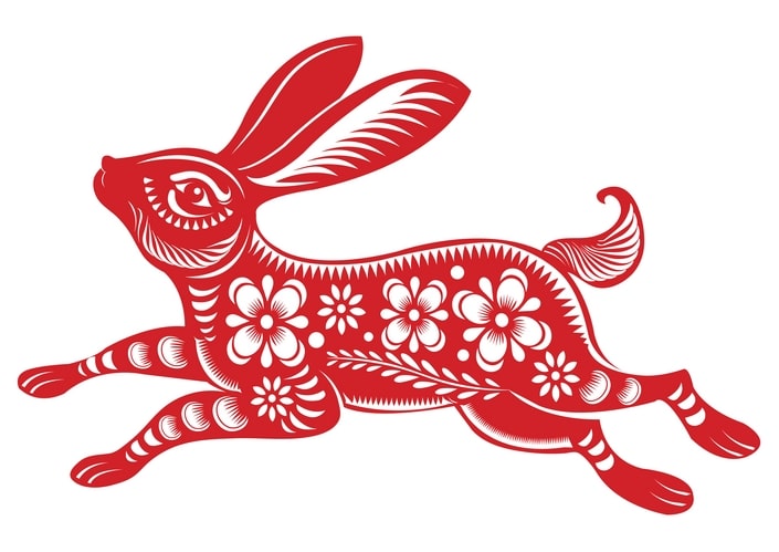 Lunar New Year: 12 Chinese Zodiac Anmimals