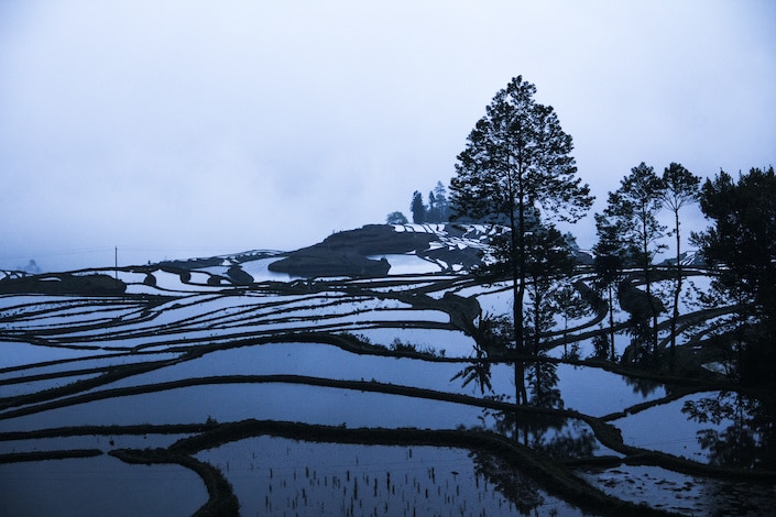 a photo of terraced Chinese rice fields filled with water in winter