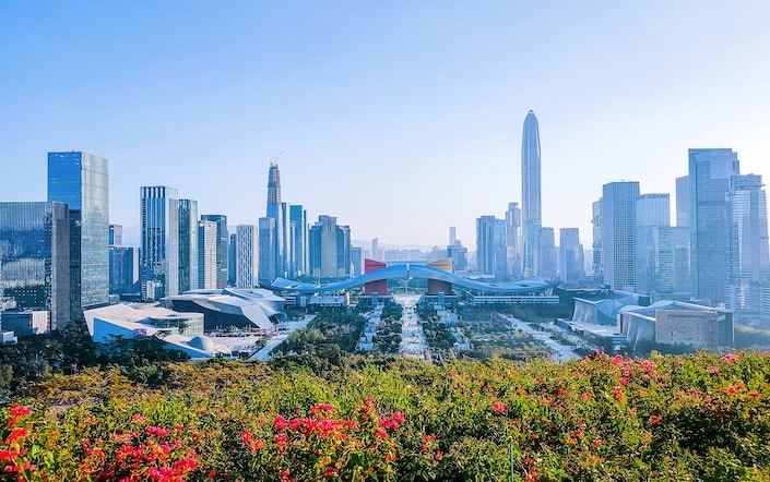 the skyline of modern Shenzhen, China, with pink flowering shrubbery in the foreground