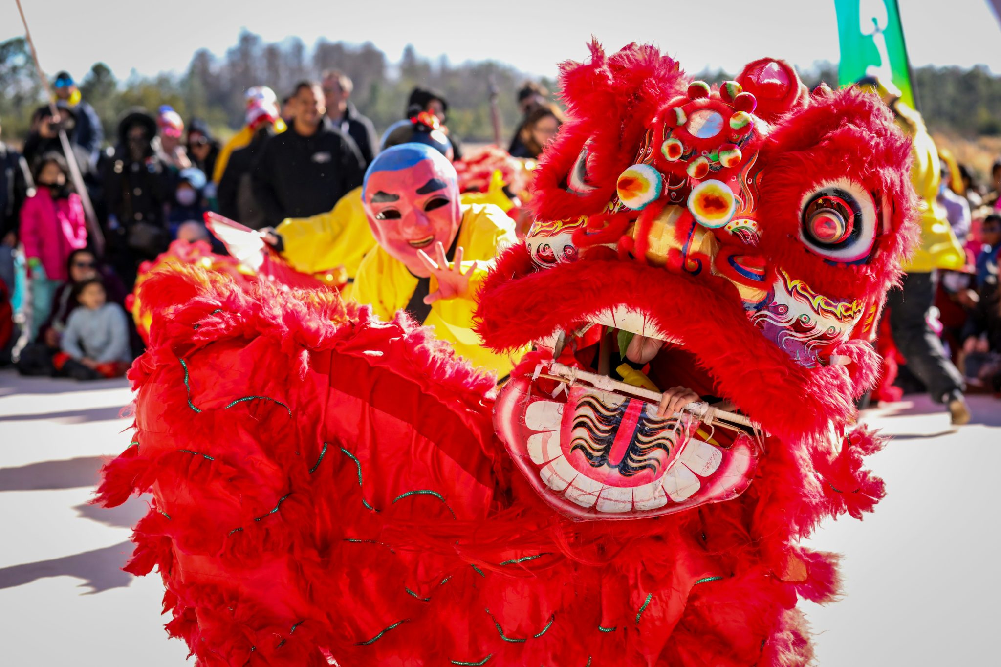 Your Comprehensive Guide to the Chinese New Year (春节 Chūnjié)