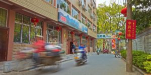 A tree-lined street with shops as scooters blur past