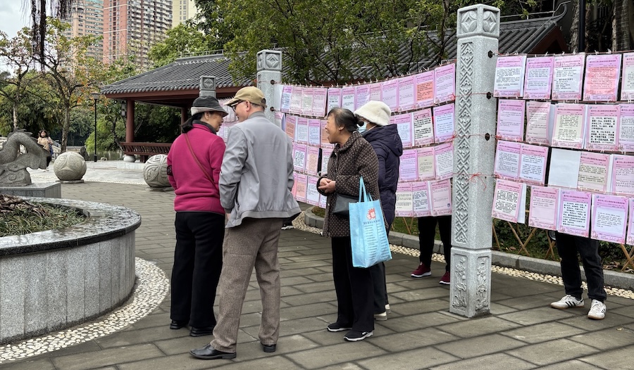 Parents browsing matchmaking profiles posted on umbrellas at a marriage market in a Chinese urban park