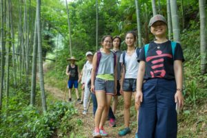 A group of hikers pauses on a narrow trail through a bamboo forest