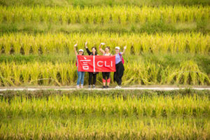 A small group holds a red CLI banner among golden rice terraces