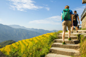 Hikers climb stone steps beside sunlit rice terraces
