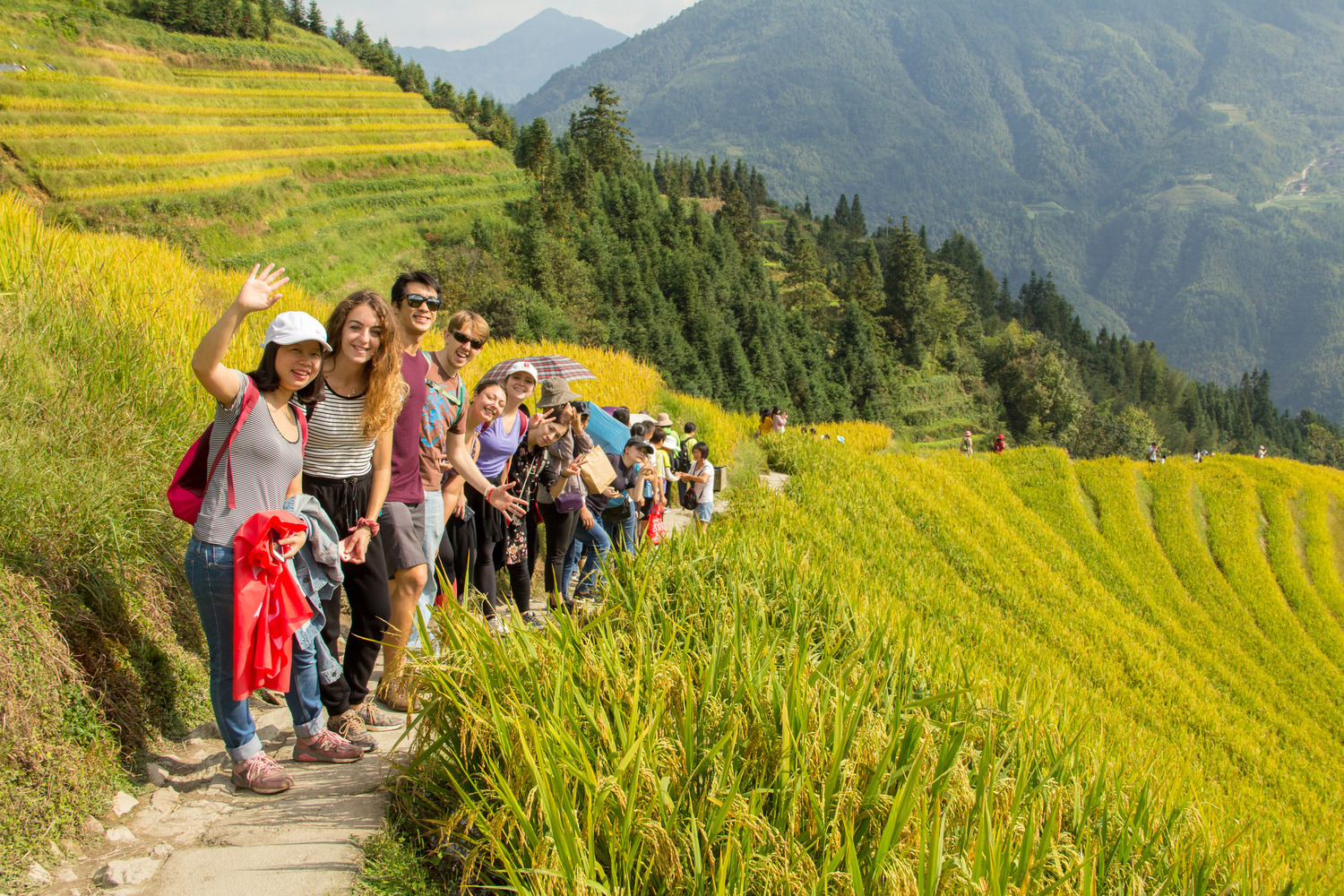 A group of happy students at the top of a mountain covered with terraced rice fields
