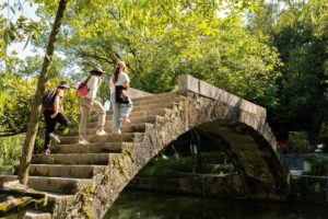 People climb the steps of an old arched stone bridge among trees