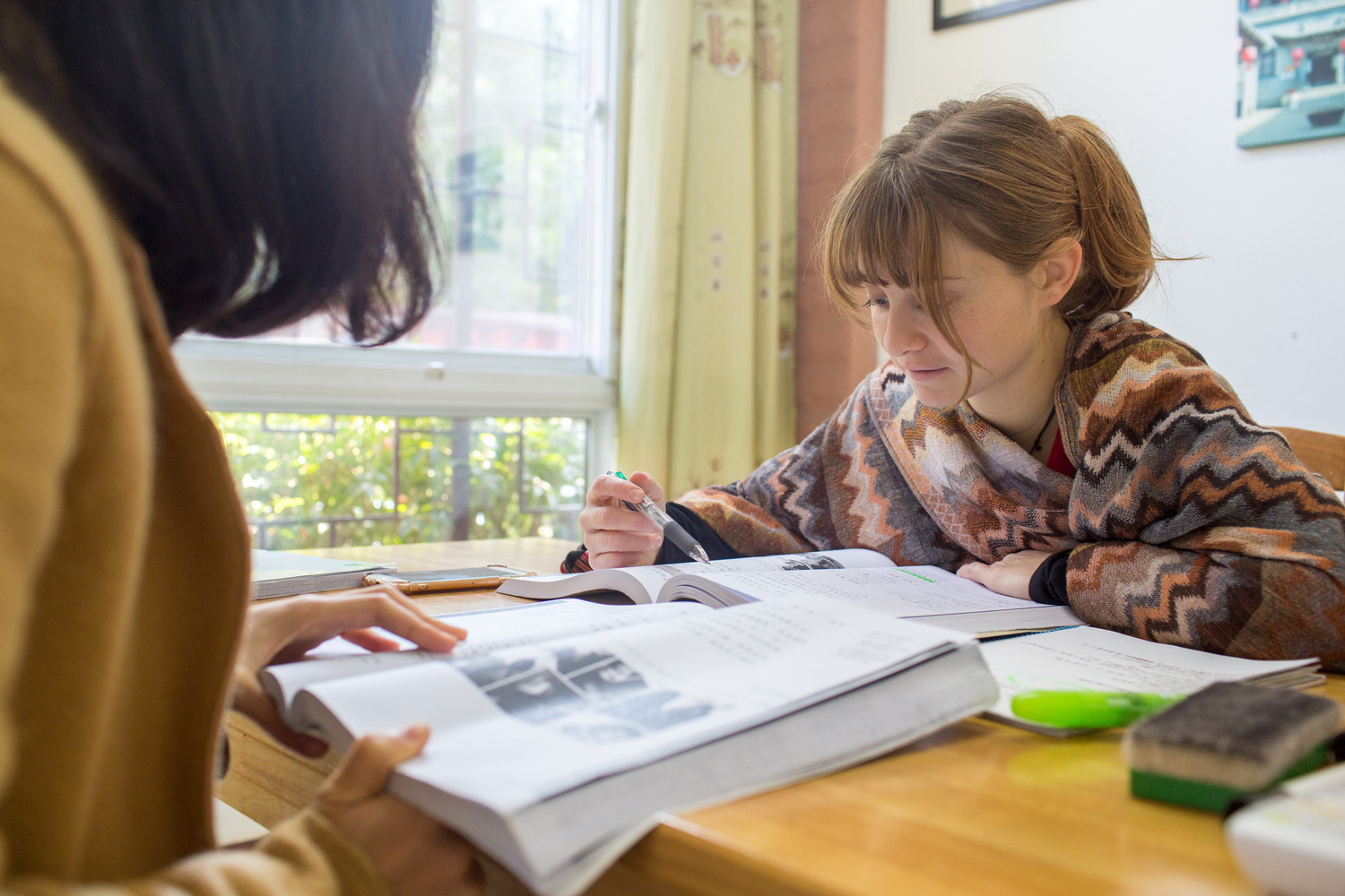 A student reading a Chinese textbook by a window
