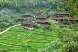 Green terraced fields spread below a cluster of wooden village houses